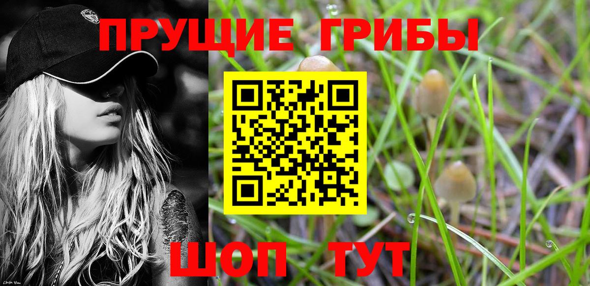 Галлюциногенные грибы ЛСД Отрадный
